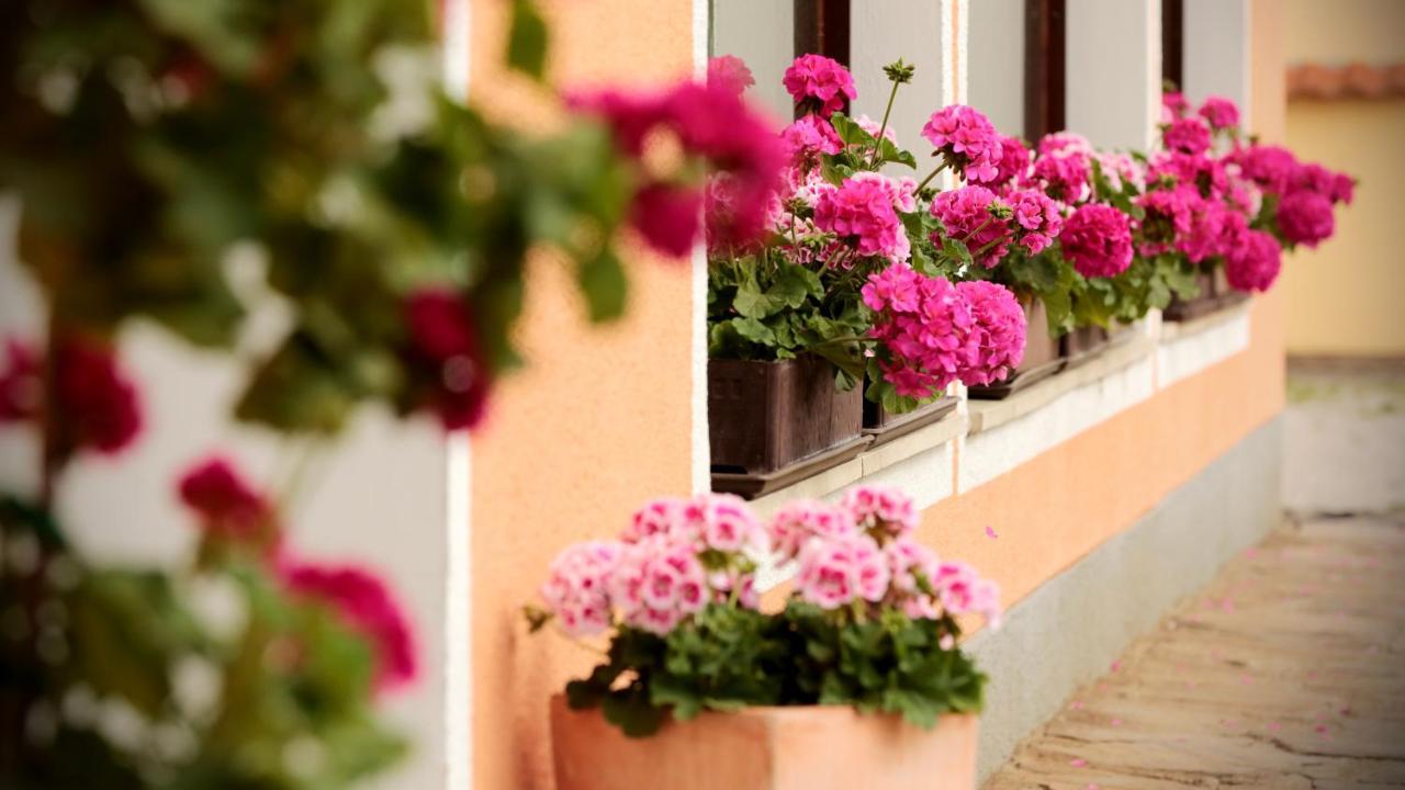 Hotel Reineldis Mureck Zewnętrze zdjęcie